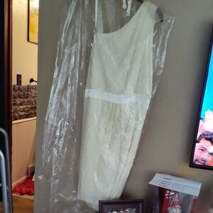 Elegant Cream Lace Dress